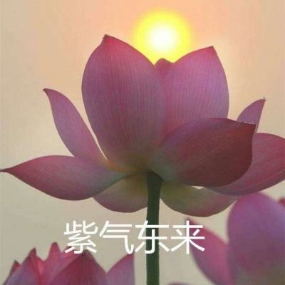 捉妖记外传官方版下载